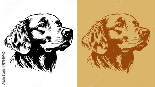 1-color golden retriever portrait
