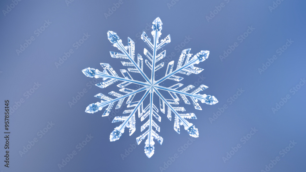 Close-up of a Single Snowflake on a Blue Background
