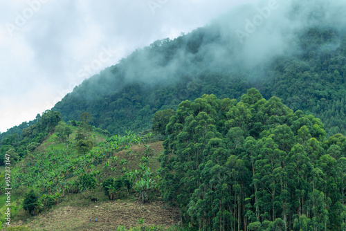 Beautiful landscape in the Andes Mountains. Clouds. Jardin, Jardín, Antioquia, Colombia.