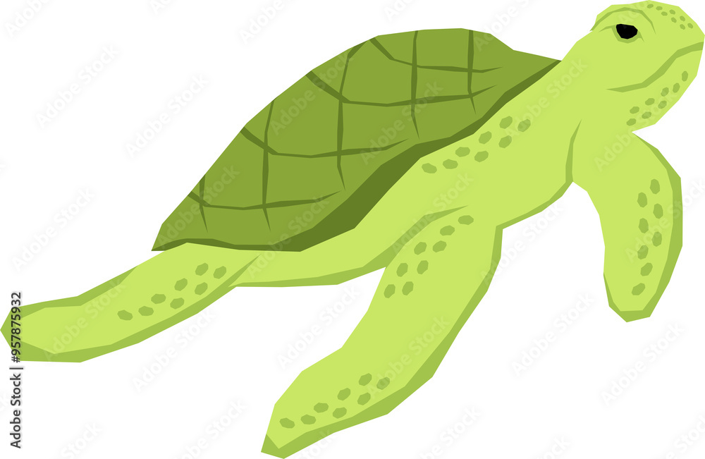 Turtle cartoon illustration Turtle cartoon illustration