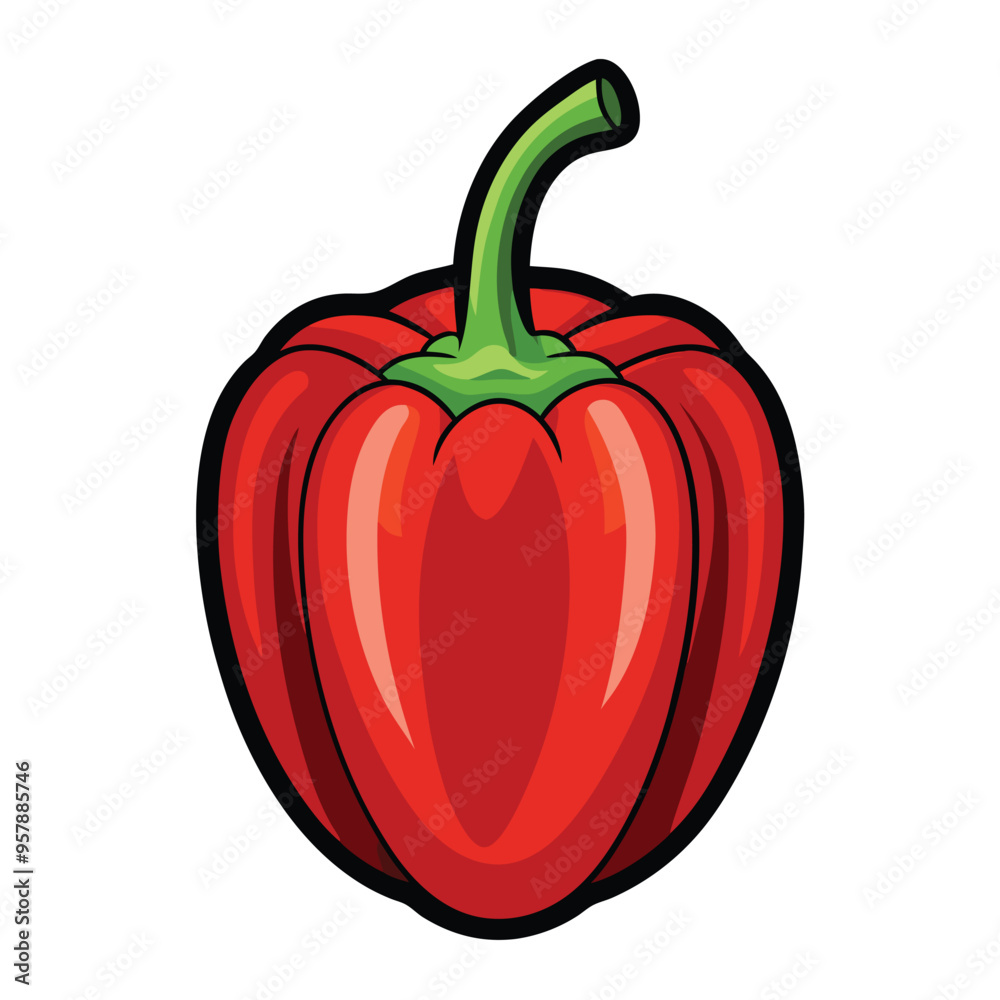 Red pepper vector Red pepper vector