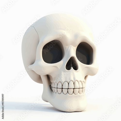 3D Rendered White Skull with Shadow and Teeth