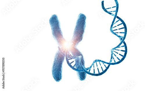 Human genes and chromosomes, 3d rendering.