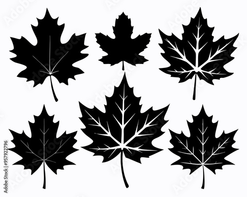 Maple leaf black Silhouette Set art vector,maple leaf, black silhouette and outline. Vector illustration