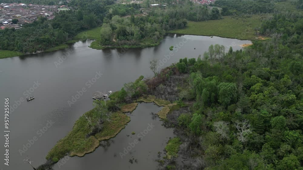 Swamp with dark water from the drone view