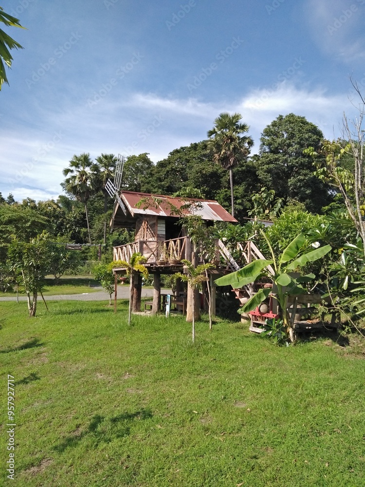 house in the forest house in the forest