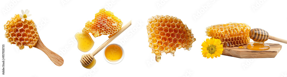 Set of Honeycomb with chamomile flower and wooden dipper isolated on background, Fresh Honey set for package element.