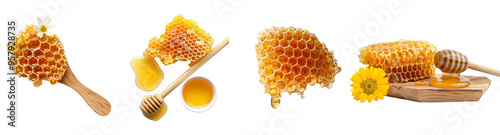 Set of Honeycomb with chamomile flower and wooden dipper isolated on background, Fresh Honey set for package element. photo