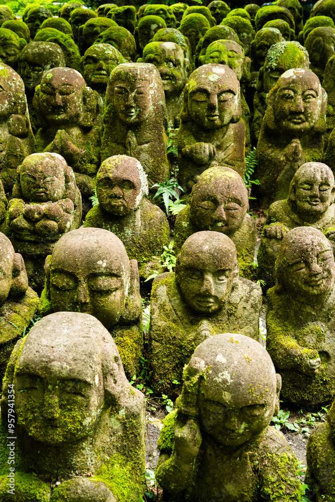 Fototapeta premium Otagi Nenbutsuji Temple in Arashiyama, Kyoto, Japan