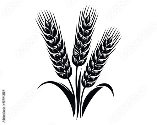 Wheat ears Vector isolated on a white background, A Wheat grain silhouette vector
