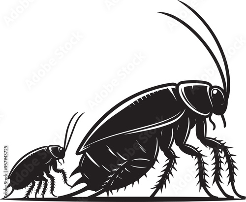 Cockroach insect animal Silhouette vector illustration isolated on a white background