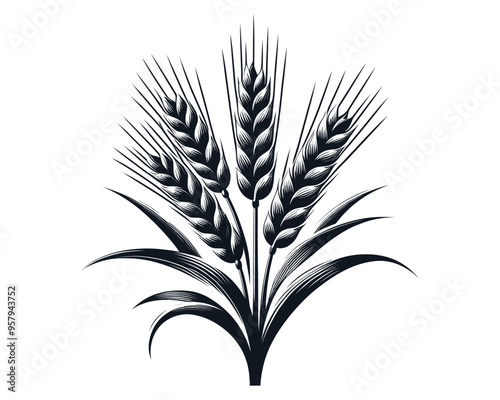 Wheat ears Vector isolated on a white background, A Wheat grain silhouette vector
