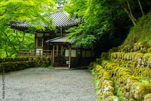 Otagi Nenbutsuji Temple in Arashiyama, Kyoto, Japan photo