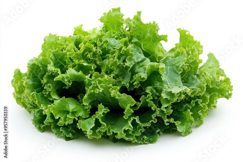 A large, crisp head of fresh green lettuce isolated against a white background. The vibrant gree