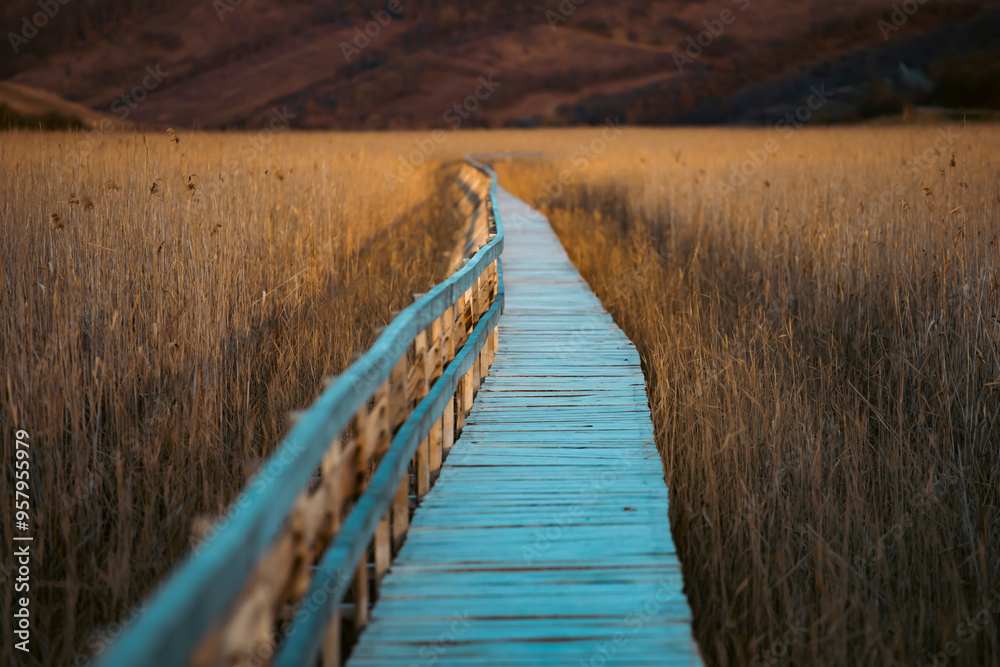 Fototapeta premium Old wooden boardwalk with a railing on the side and watchtower in the Sic reed reservation, Cluj , Romania