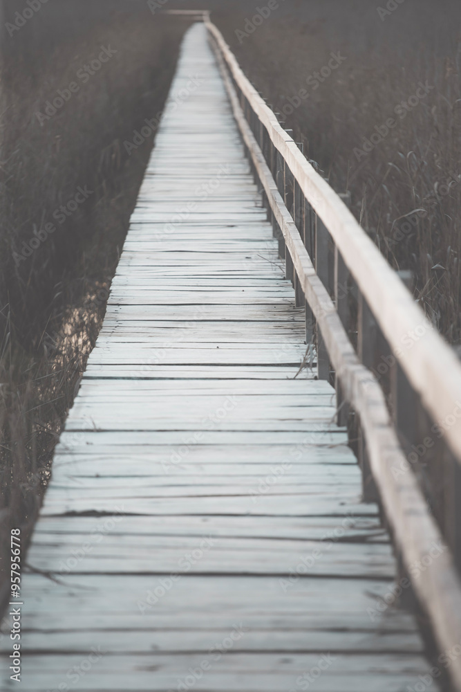 Old wooden boardwalk with a railing on the side and watchtower in the Sic reed reservation, Cluj , Romania Old wooden boardwalk with a railing on the side and watchtower in the Sic reed reservation, Cluj , Romania