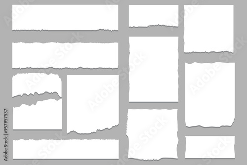 White torn paper rip pieces of sheet edge