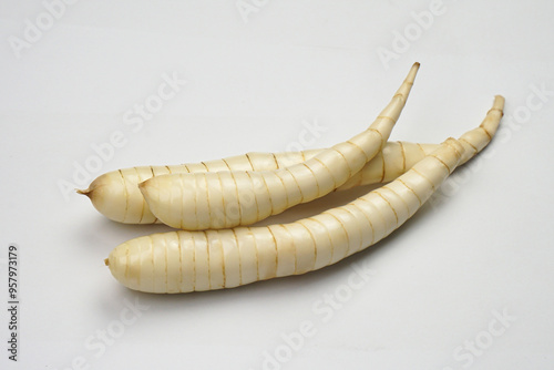 Arrow Root