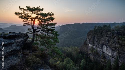 what a morning - was für ein Morgen