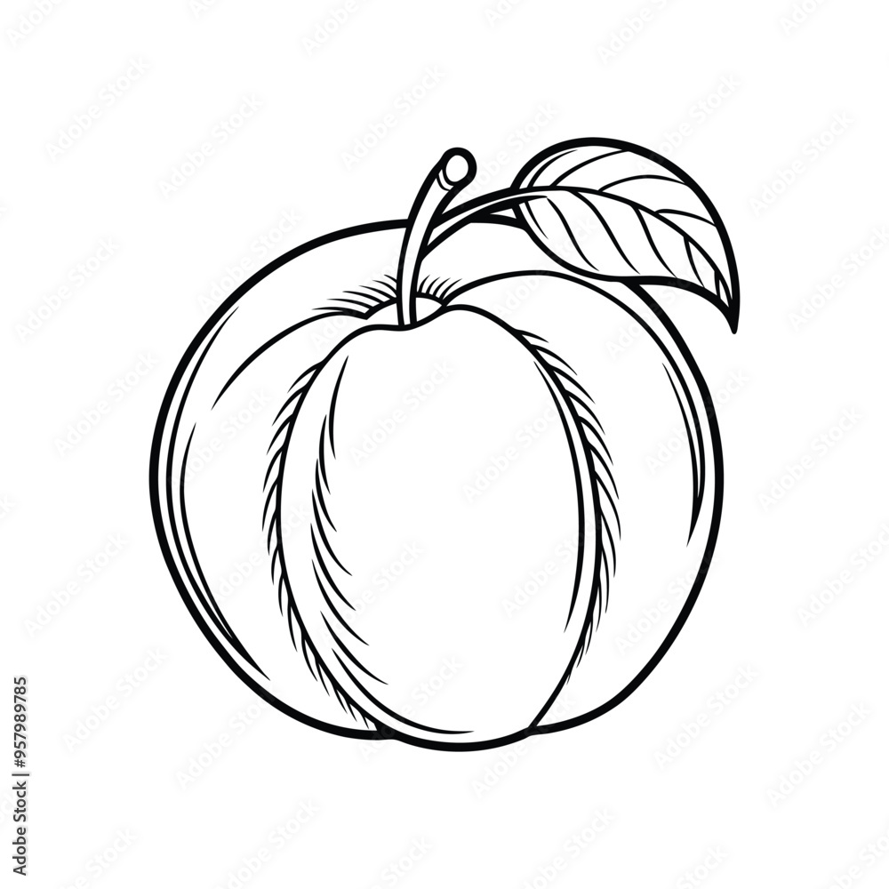 Vector Apricot Line Icon Design. Simple Template on White Background Vector Apricot Line Icon Design. Simple Template on White Background