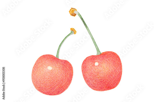 チャリーのイラスト