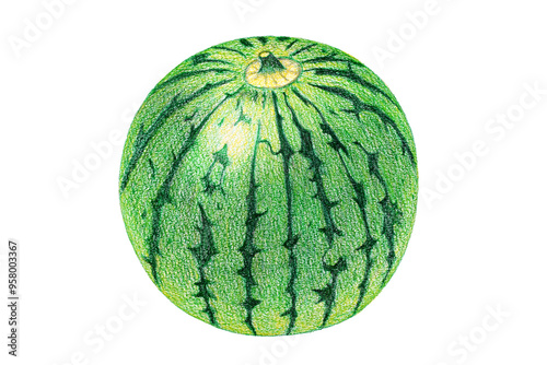 スイカのイラスト