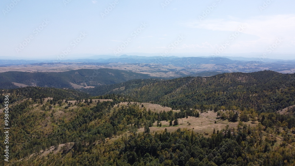 Naklejka premium Very beautiful wooded mountain peaks