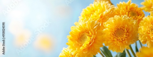  A vase holding yellow flowers sits atop a blue table, its surface adorned with white and yellow flower petals, under a sunny day