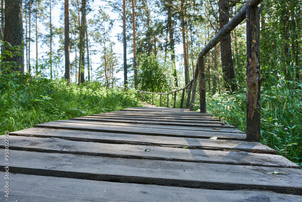 A wooden path in the woods. Eco trail. A wooden path in the woods. Eco trail.