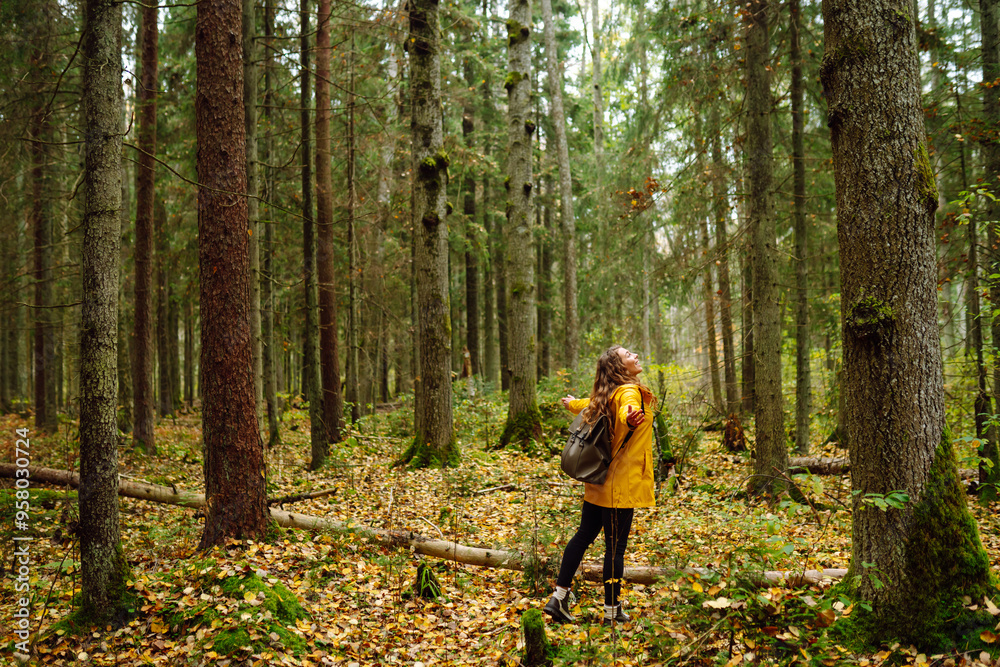 A woman in a yellow rain jacket explores a lush forest during a cool autumn day, surrounded by tall trees and natural beauty. Active lifestyle. Nature, travel, rest concept. A woman in a yellow rain jacket explores a lush forest during a cool autumn day, surrounded by tall trees and natural beauty. Active lifestyle. Nature, travel, rest concept.