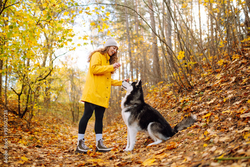 A woman in a yellow jacket enjoys an autumn day with her husky in a forest filled with colorful fallen leaves. A pet owner spends time with her dog. Concept of fun, entertainment.