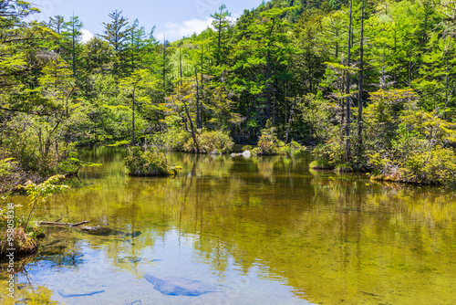 日本の風景・初夏　長野　新緑の上高地　明神池