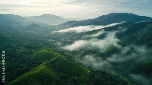 Aerial shot of the tranquil Kolli Hills in Tamil Nadu, with mist rolling over green valleys and tea plantations. No people. photo