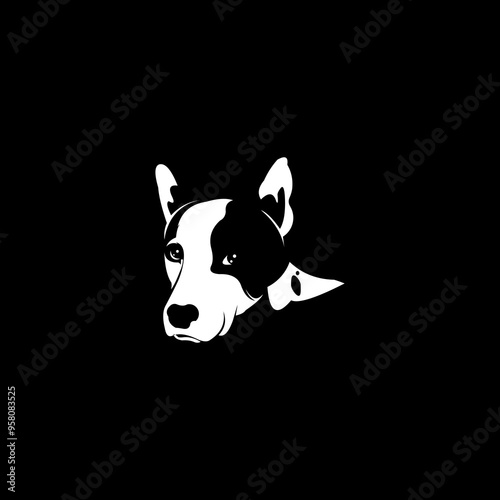 dog on black background