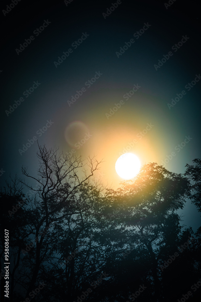 Night landscape with a moon and trees ,night sky with big moon , cold colors on the picture,lights of the moon Night landscape with a moon and trees ,night sky with big moon , cold colors on the picture,lights of the moon