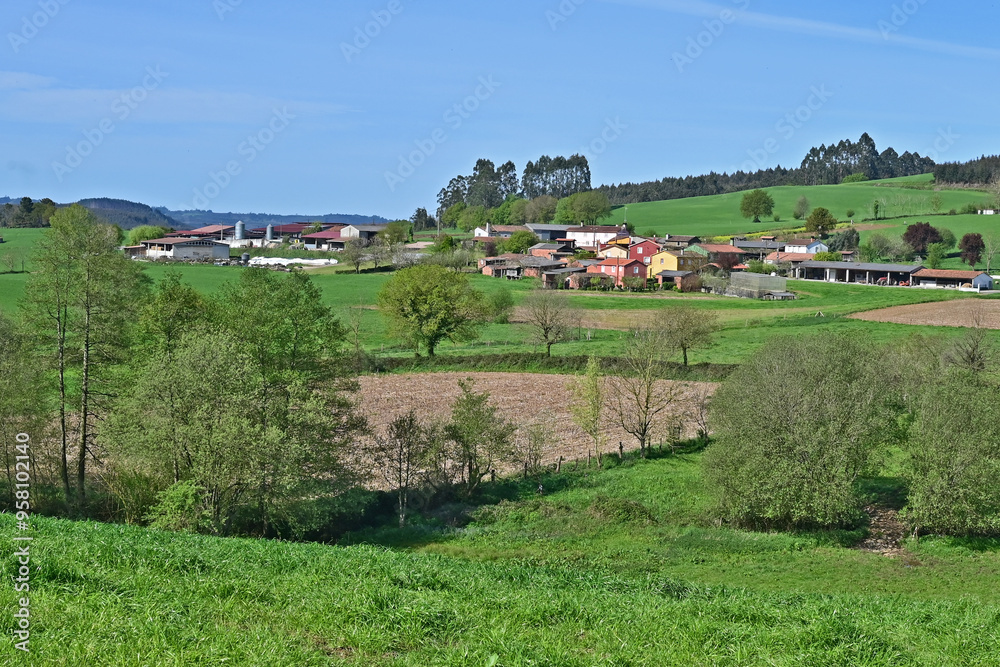 Obraz premium Paesaggi di Galizia, campagna colline e panorami sul cammino Primitivo di Santiago di Compostela fra Melide ed Arzua - Galizia, Spagna 
