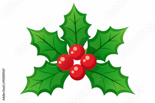 Christmas holly berry leaves vector art, Christmas leaves icon on white background