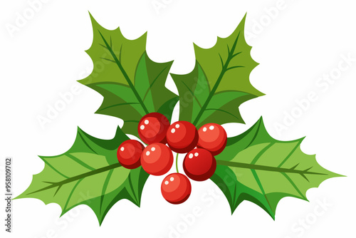 Christmas holly berry leaves vector art, Christmas leaves icon on white background