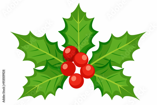 Christmas holly berry leaves vector art, Christmas leaves icon on white background