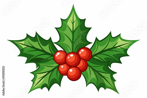 Christmas holly berry leaves vector art, Christmas leaves icon on white background