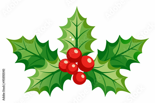 Christmas holly berry leaves vector art, Christmas leaves icon on white background