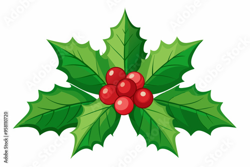 Christmas holly berry leaves vector art, Christmas leaves icon on white background