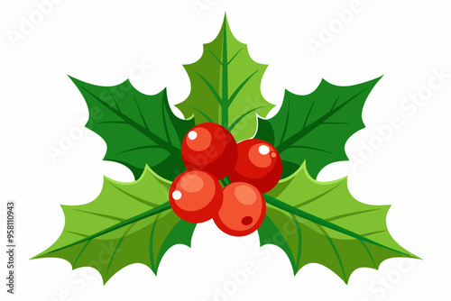 Christmas holly berry leaves vector art, Christmas leaves icon on white background