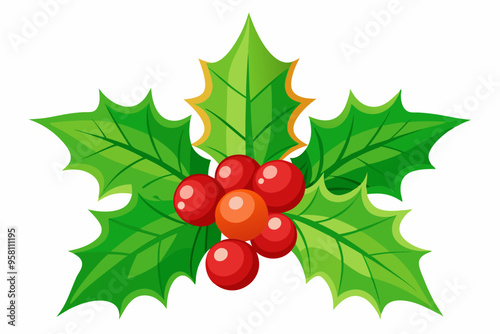 Christmas holly berry leaves vector art, Christmas leaves icon on white background