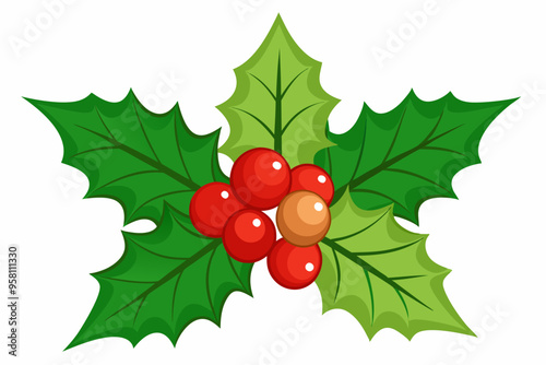 Christmas holly berry leaves vector art, Christmas leaves icon on white background