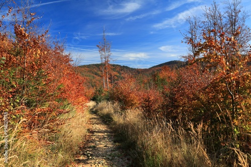 Fototapeta Naklejka Na Ścianę i Meble -  Fall hiking in Beskids mountains in Poland