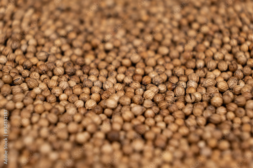 Macro Grains Coriander Natural Spice Selective Focus Macro Grains Coriander Natural Spice Selective Focus