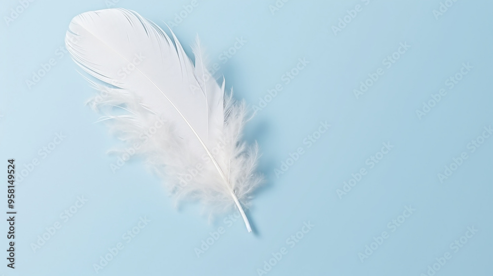 A white fluffy bird feather on a delicate blue background A white fluffy bird feather on a delicate blue background