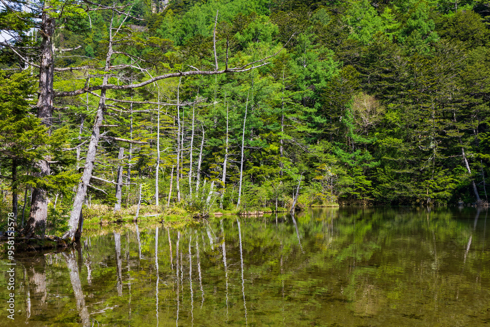日本の風景・初夏 長野 新緑の上高地 明神池 日本の風景・初夏 長野 新緑の上高地 明神池