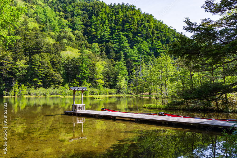 Fototapeta premium 日本の風景・初夏 長野 新緑の上高地 明神池